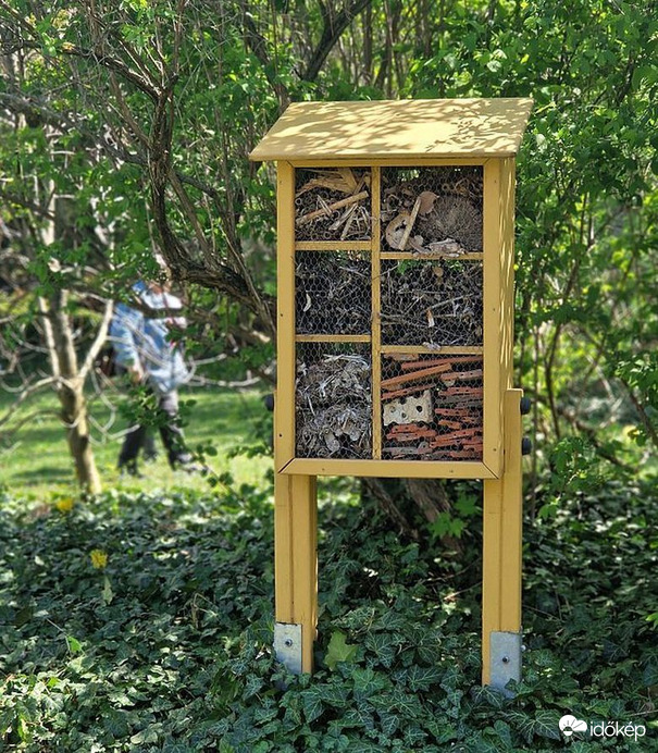 A Budai Arborétumban