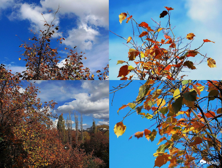 Bujkáló napsütésben..