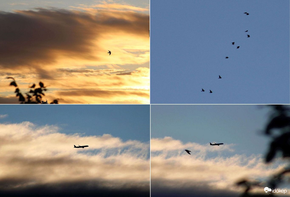 Budapest XI. kerület