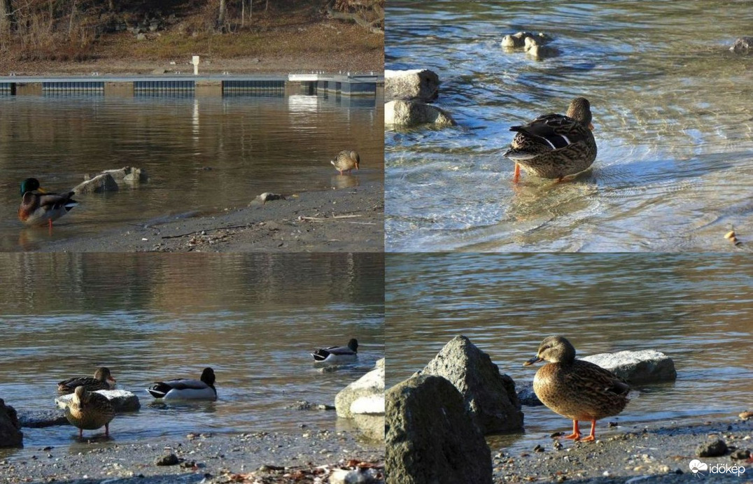 Jelenetek