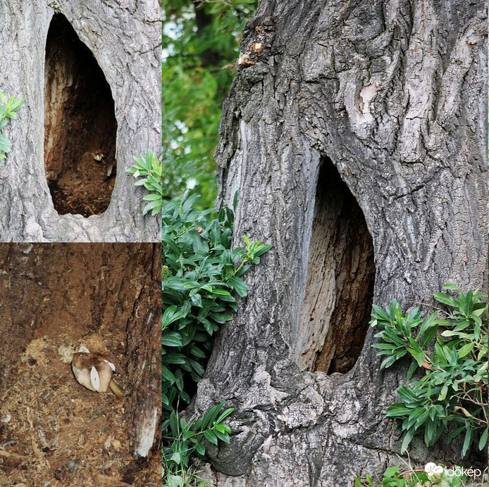 A kiadó lakás és bérlője...