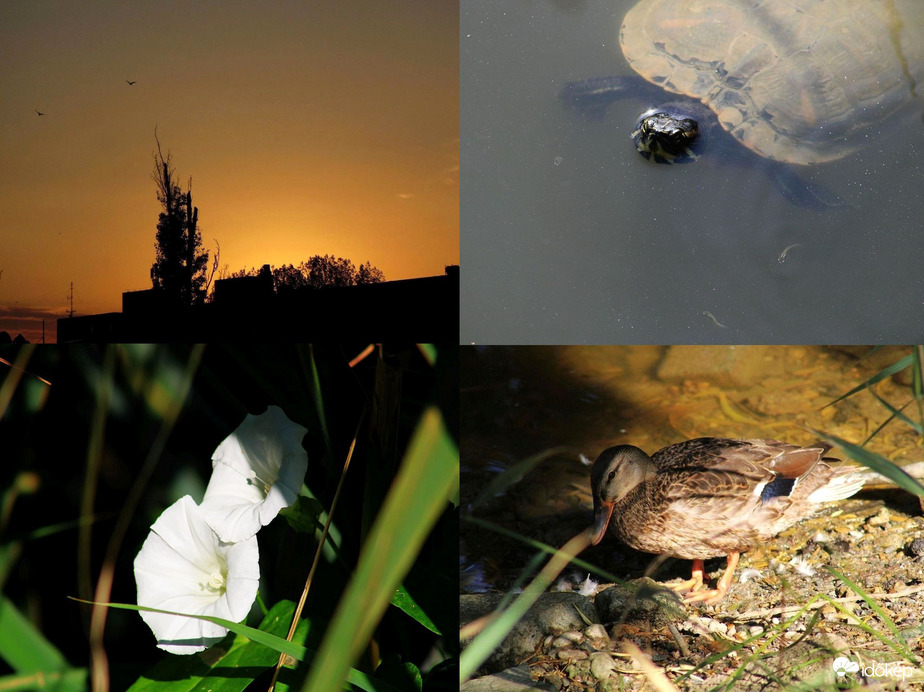 Összefoglaló a mai napról