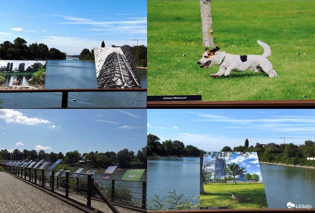 Kiállítás képei..