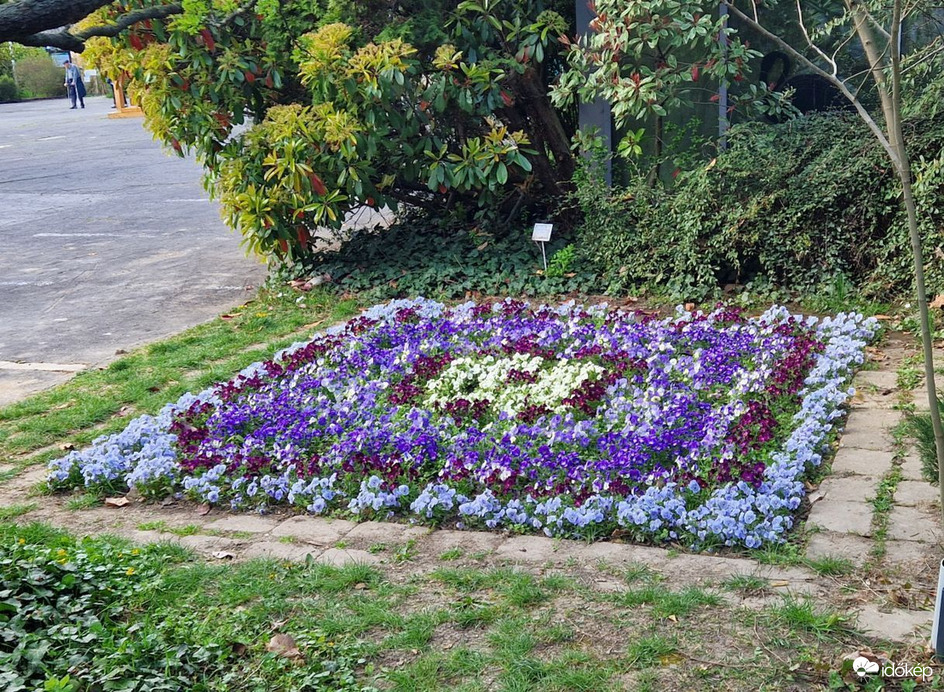 A Budai Arborétumban