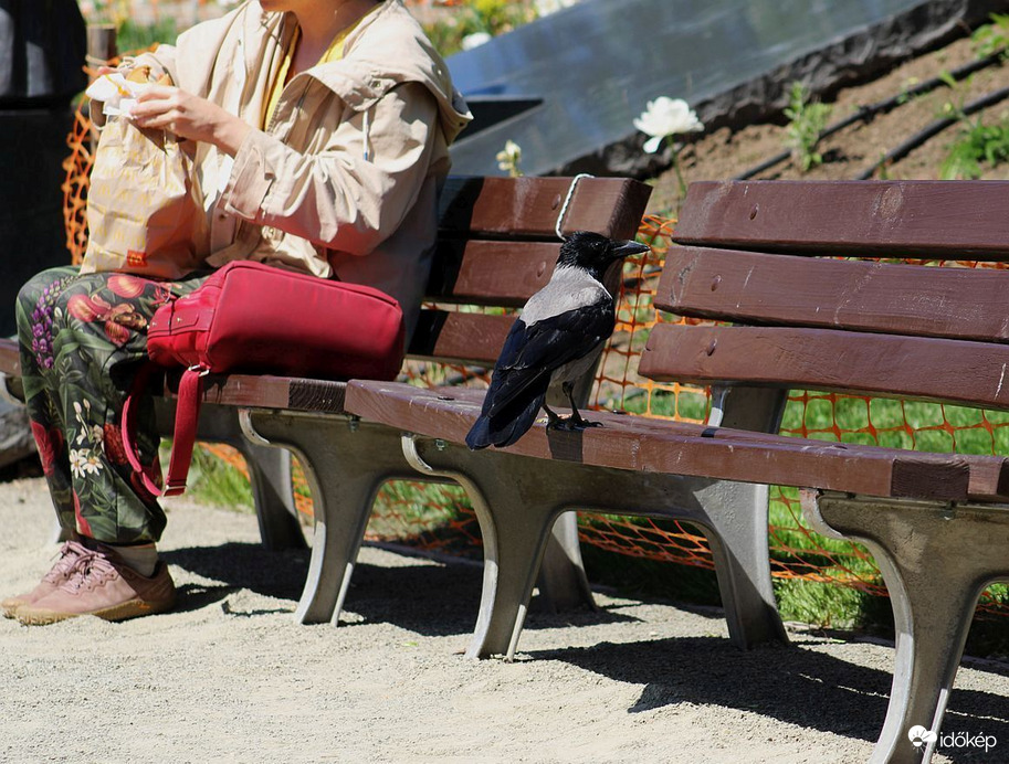 KIvárom, ha addig élek is...