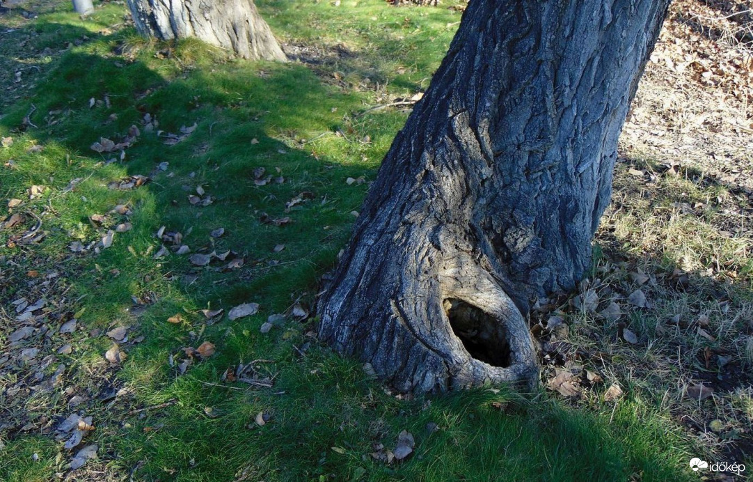 áááá