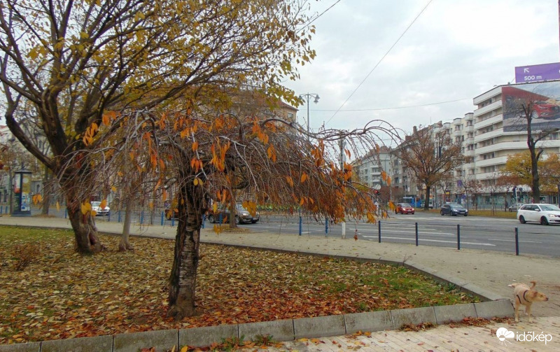 Városi ősz