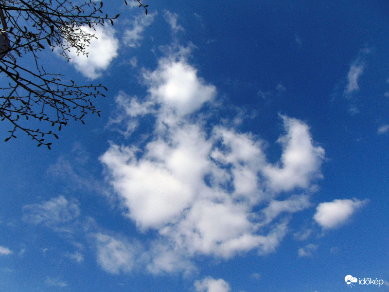 Vídám társaság