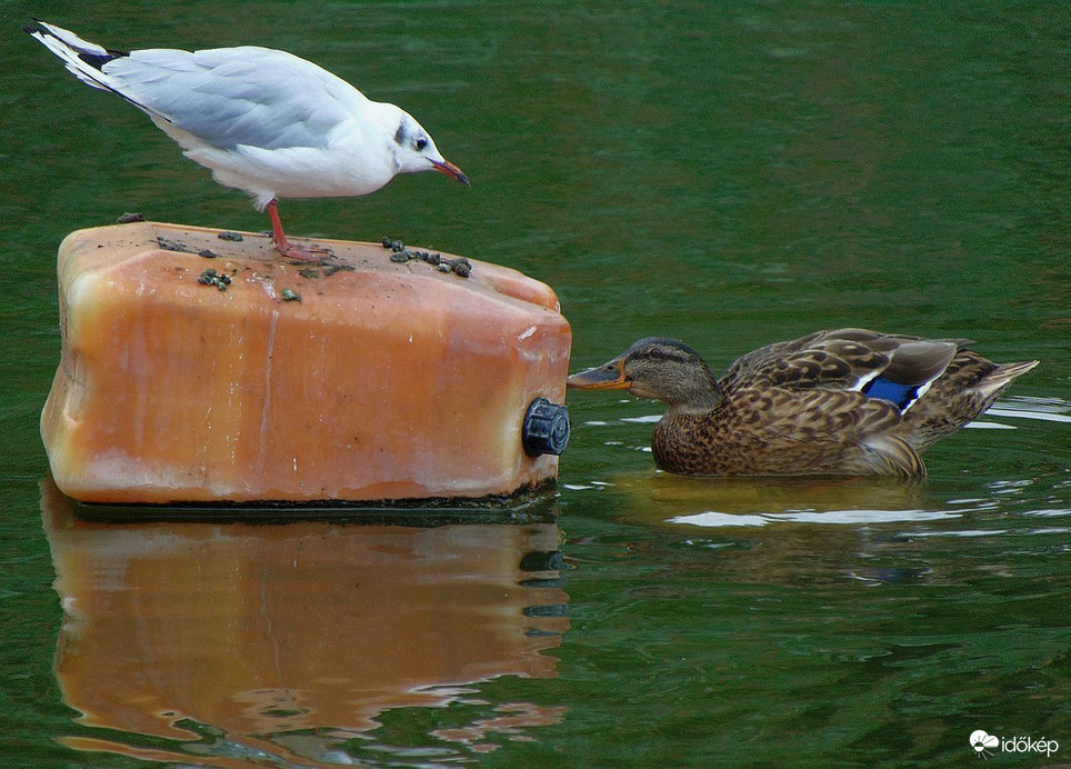 Hát ez nagyon jó volt!