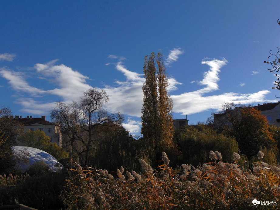 Kellemes napsütéses