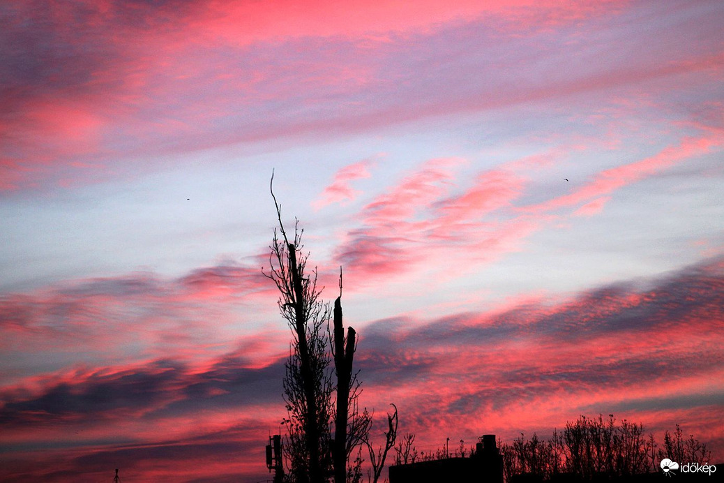 Budapest XI. kerület