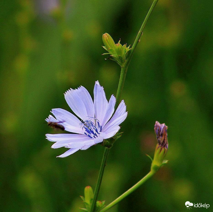 Múlt, jelen és jövő...