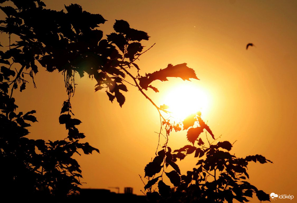 Budapest XI. kerület