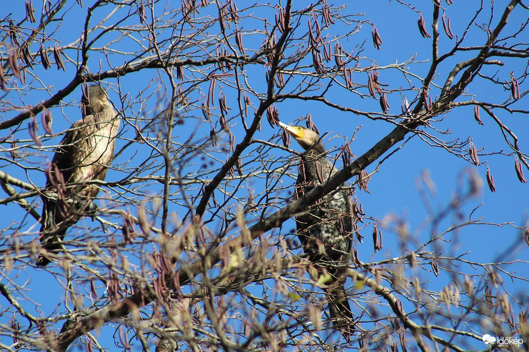 Figyelsz te egyáltalán?:D