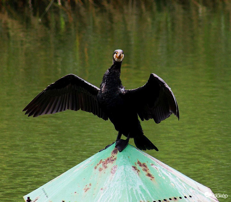 "Ma végre jó a kedvem...
