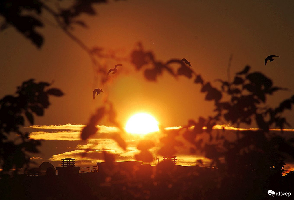 Budapest XI. kerület