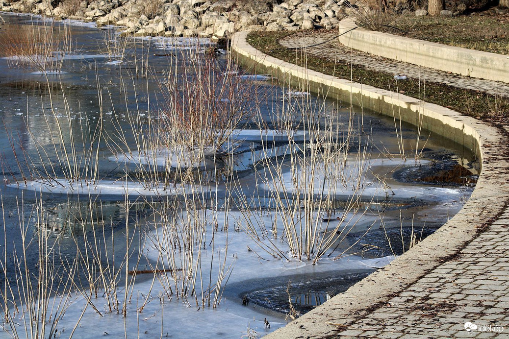 Fagyos éjszaka után..