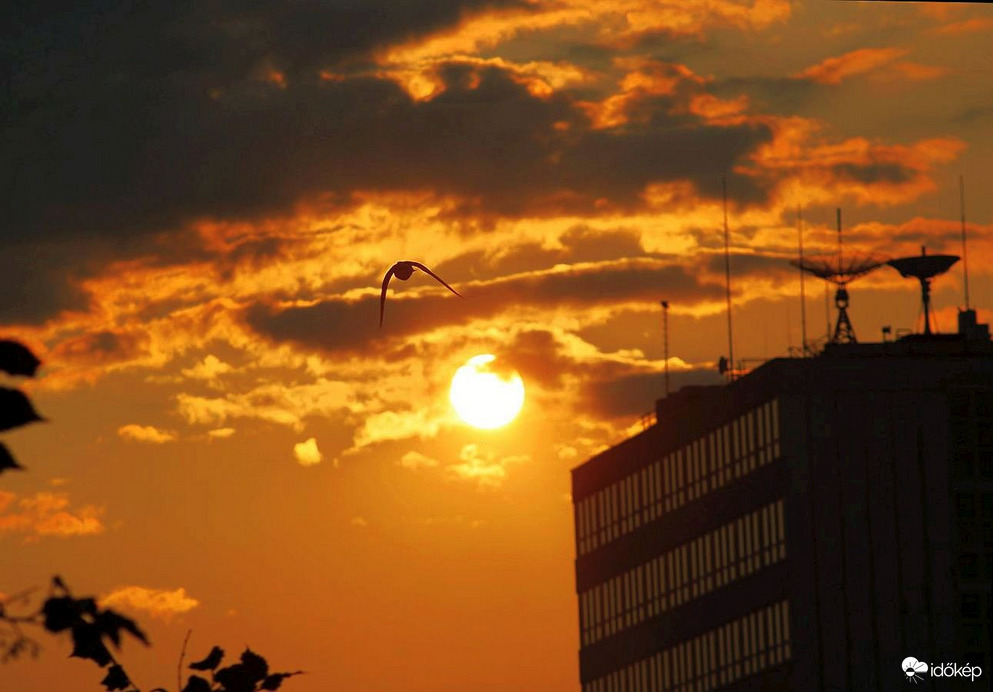 Budapest XI. kerület