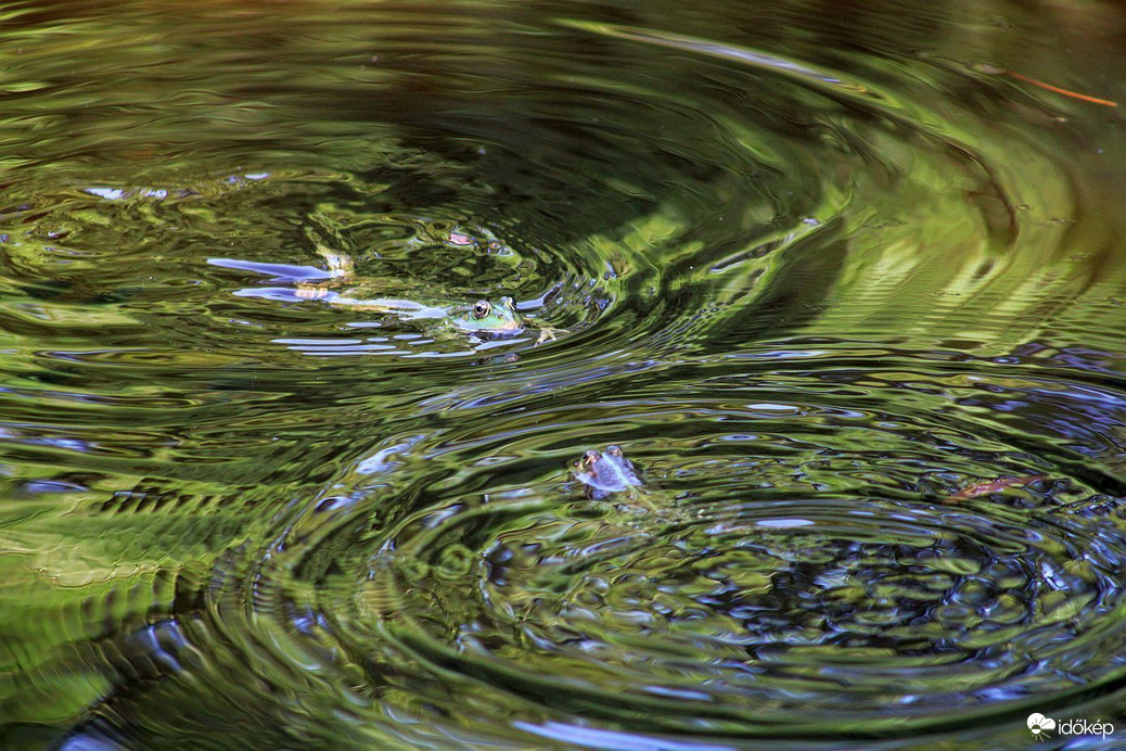 Így könnyen ki lehet bírni a hőséget!