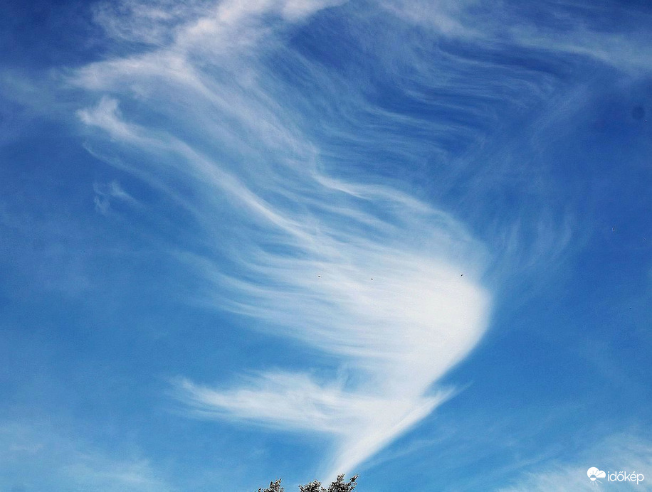 Budapest XI. kerület