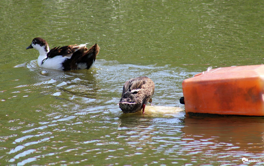 Pár perccel később!