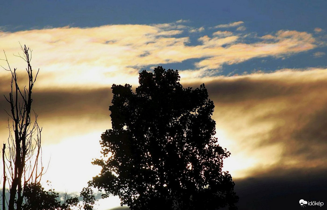 Budapest XI. kerület