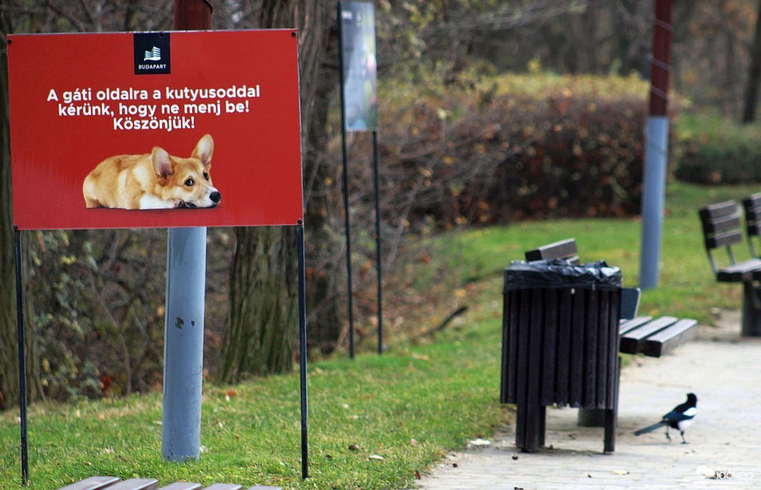 Udvarias "diszkrimináció"...