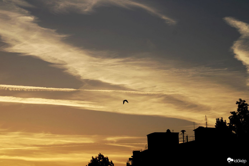 Budapest XI. kerület