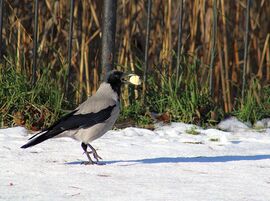 Én is kaptam ajándékot,