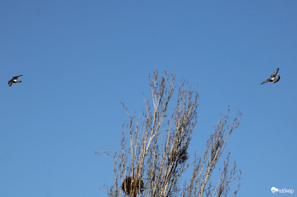 Budapest XI.kerület,