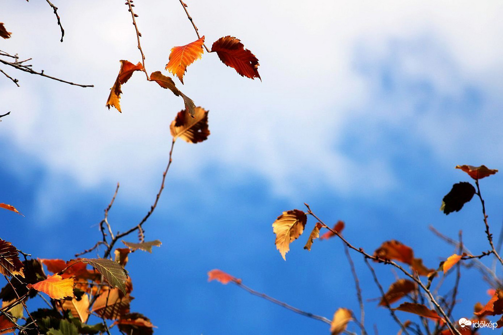 Amikor sütött a Nap..
