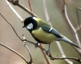 A 7. érzék! (ma délelőtt)