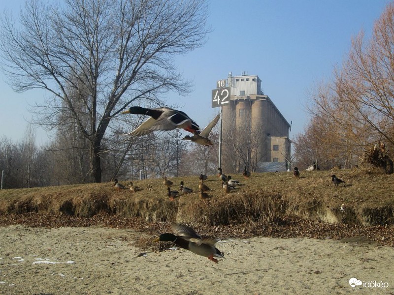 Menjünk a vízre...