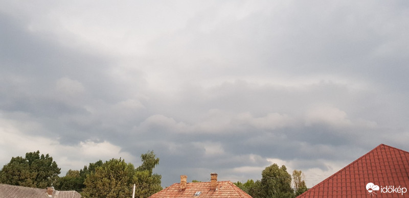 Kóka