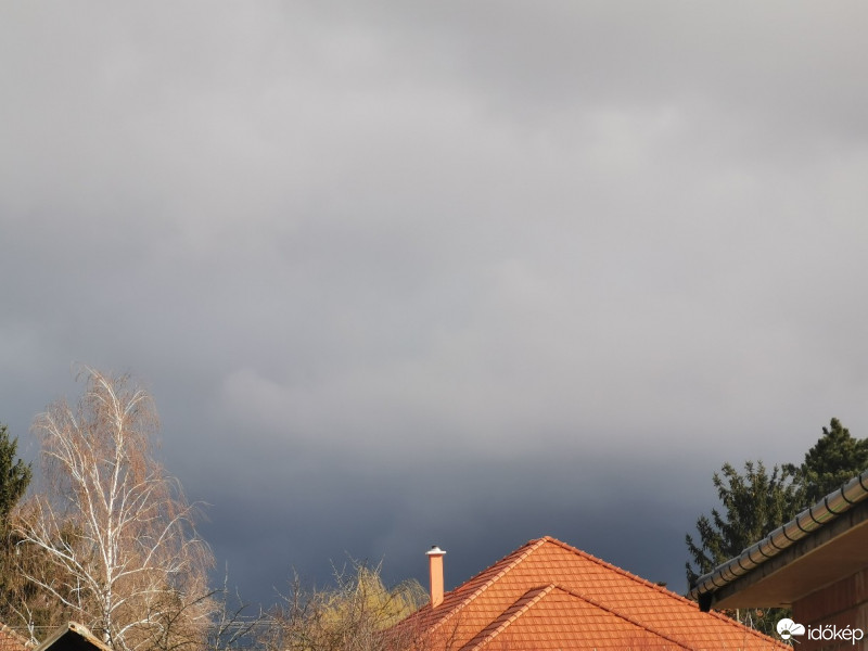 Kóka