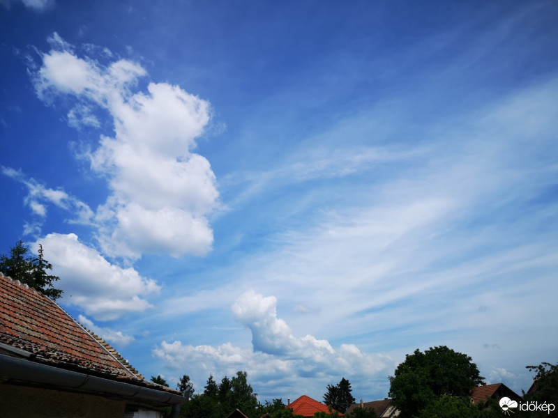 Kóka