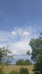 Madaras