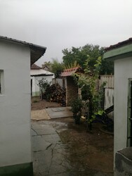 Madaras