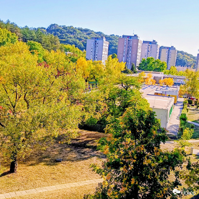 Nyár