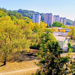 Nyár