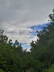 Balatonakarattya