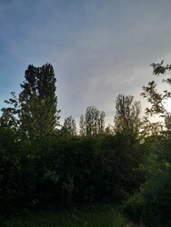 Balatonakarattya