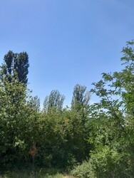 Balatonakarattya