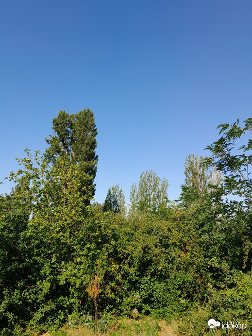 Balatonakarattya