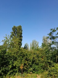 Balatonakarattya
