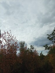 Balatonakarattya