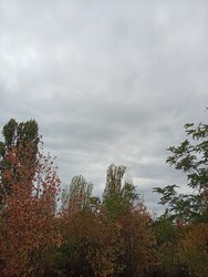 Balatonakarattya