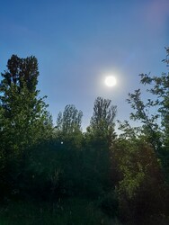 Balatonakarattya