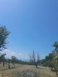 Balatonkenese