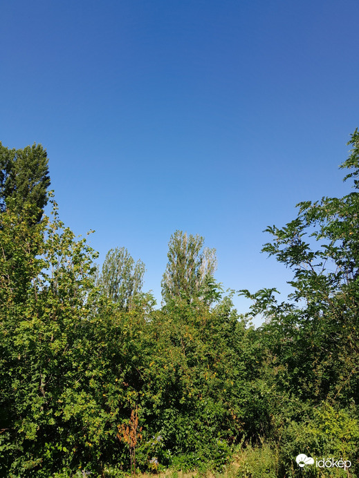 Balatonakarattya